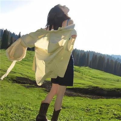 老虎连